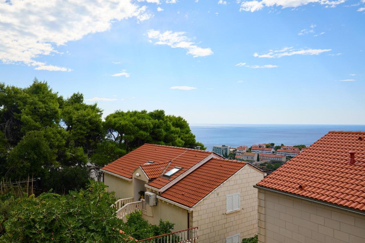 Hedera Estate Hedera Studio 1 Ντουμπρόβνικ Εξωτερικό φωτογραφία